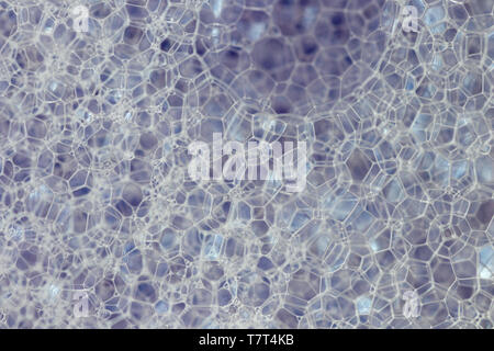 Bubbles and foam from soap suds. Extreme close up. Stock Photo