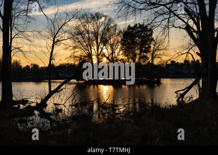 Sunset on a Pond behind trees Stock Photo
