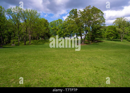 Wide angle photo of green grass and trees on a hill of  Meadowlark Botanical Gardens in Vienna, Virginia springtime. Stock Photo