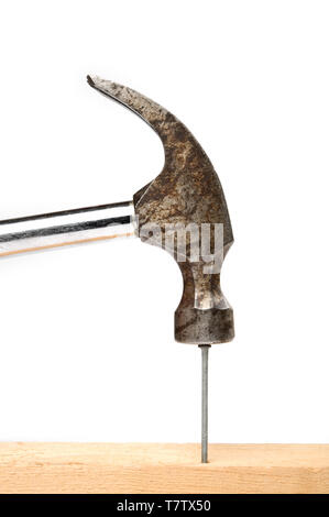 Old hammer hitting a nail. Isolated on white. Stock Photo