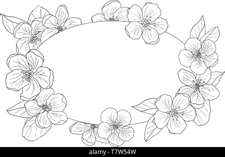 Beautiful Apple Blossom Frame Coloring Page For Adults And Children Stock Vector Image Art Alamy