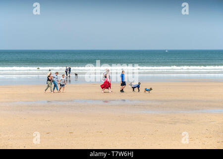 Holidaymakers walking their dogs on Great Western Beach at low tide in Newquay in Cornwall. Stock Photo