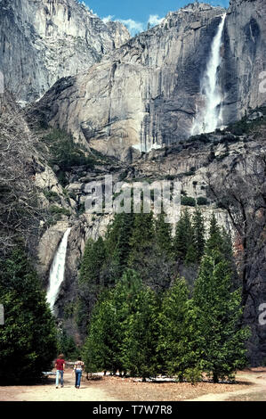 The tallest waterfall in North America is Yosemite Falls, a major attraction in Yosemite National Park, which was established in1890 as the first national park in the state of California, USA. Located in the Sierra Nevada mountains, Yosemite Falls drops 2,425 feet (739 meters) from the top of its upper fall (right) to the base of its lower fall (left).  Two park visitors heading on a trail to the lower falls give scale to this stunning scenic view from Yosemite Valley. The best time to see the falls is in late spring, especially during May, when the water flow is usually at its peak. Stock Photo
