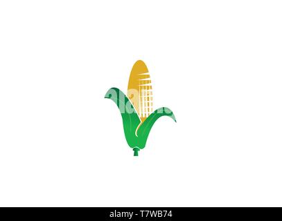 Maize with leaves to make corn for logo design Stock Vector