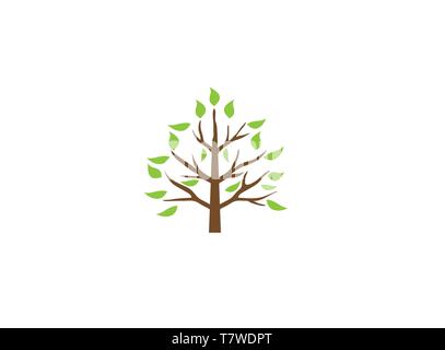 A leafy tree with leaves on a green plateau twigs for logo design Stock Vector