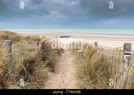 GR of the coastline in the dunes of Blériot-plage, France, Hauts de France Stock Photo