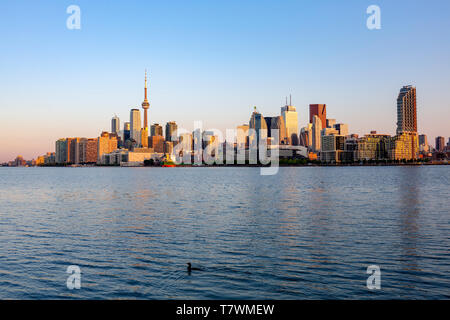 Canada, Province of Ontario, City of Toronto, City and its Sunrise Skyscrapers from the Lake Ontario Shoreline Stock Photo