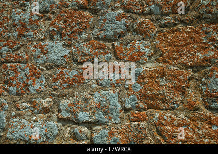 Wall made of rough stones with moss and lichens forming a singular background at Monsanto. A cute and peculiar historic village of Portugal. Stock Photo
