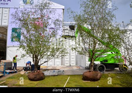 rarely seen; the setting up of the annual RHS chelsea flower show in london england may 2019 UK Stock Photo