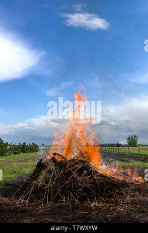 flames from a large bonfire rising into the blue sky with clouds on a beautiful suny spring day in a rural landscape Stock Photo