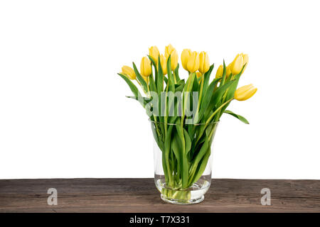 Fresh bouquet of yellow tulips in vase on a wooden table against white background. Stock Photo