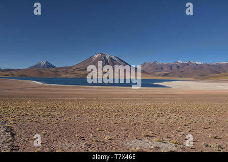 Beautiful Lake Miscanti on the altiplano, Atacama Desert, Chile Stock Photo