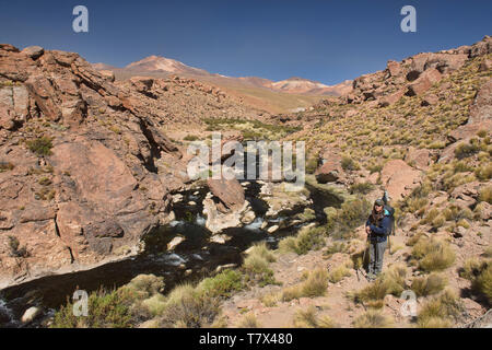 Hiking along the Rio Blanco thermal river near El Tatio Geyser, San Pedro de Atacama, Chile Stock Photo