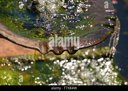 water drops in the fountain macro shot with algae on the ground with bokeh effects, water bowl of a fountain bokeh background Stock Photo