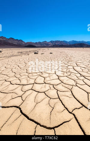Landscape of the Death Valley National Park, California, USA. Earth cracked and dried out because of the sun *** Local Caption *** Stock Photo