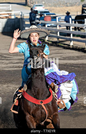 charro para caballo . realizado por pech . seri - Comprar Figuras de