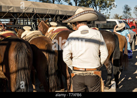 Juan Franco, Sr., dresses in the traditional Charro costume as he readies for a family practice session in the Jalisco Highlands town of Capilla de Guadalupe, Mexico. The Franco family has dominated Mexican rodeo for 40-years and has won three national championships, five second places and five third places. Stock Photo