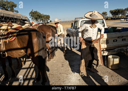 Juan Franco, Sr., dresses in the traditional Charro costume as he readies for a family practice session in the Jalisco Highlands town of Capilla de Guadalupe, Mexico. The Franco family has dominated Mexican rodeo for 40-years and has won three national championships, five second places and five third places. Stock Photo