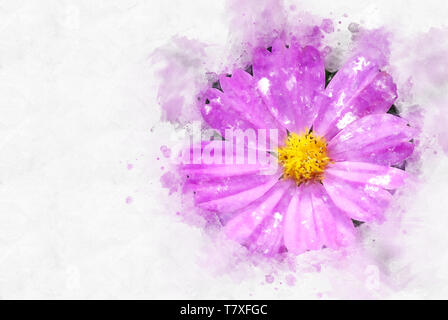 Abstract pink flower blooming on colorful watercolor painting background and Digital illustration brush to art. Stock Photo