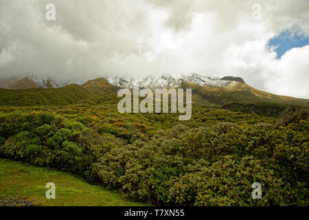 Mount Taranaki, volcano in the north island of New Zealand, mostly the peak is covered by clouds. Stock Photo