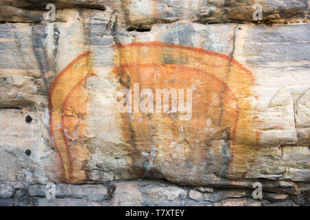 Ancient rock art on the natural stone shelters in Kakadu National Park in the Northern Territory of Australia