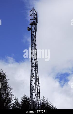 Phone mast situated in a forest. Stock Photo