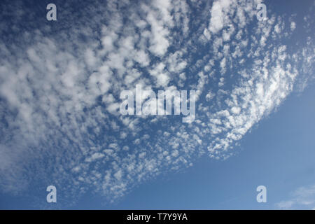 Mackerel sky pattern. Altocumulus cloud formation with a fleecy, cotton wool texture against a bright blue sky. Natural patterned background. Stock Photo