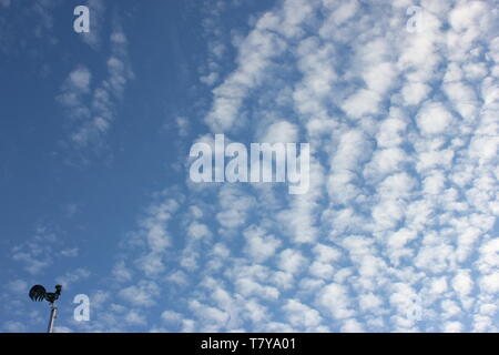 Fluffy cotton-wool or mackerel clouds with small weathercock in front of blue sky. Stock Photo