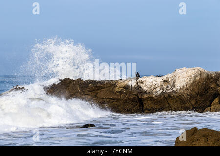 Cormorants in Southern California, perched onshore as a wave crashes into the rocks. Pacific ocean, blue sky in the distance. Stock Photo