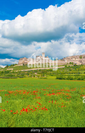 Assisi, Umbria (Italy) - The awesome medieval stone town in Umbria region, with the famous Saint Francis sanctuary. Stock Photo