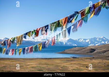 India, Jammu and Kashmir, Himalaya, Ladakh, Changthang Plateau (Changtang), Rupshu Valley, prayer flags with Lake Tsomoriri in the background (4530m) Stock Photo