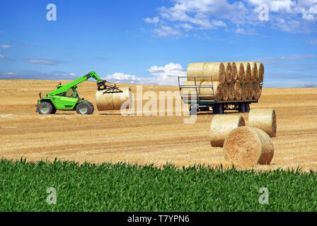 Loading bales of straw on an agricultural trailer. Stock Photo