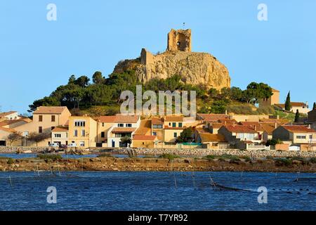 France, Aude, Narbonne, Corbieres, Gruissan, the old village and the castle, medieval military fortress dominated by the 13th century Barberousse Tower Stock Photo