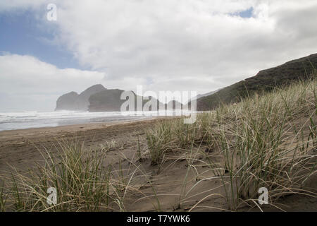 Bethells beach or Te Henga in Waitakere, West Auckland on a winters day with blue sky and white clouds. Low tide and relatively calm sea. Stock Photo