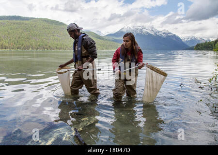 BioBlitz at Glacier NP Stock Photo
