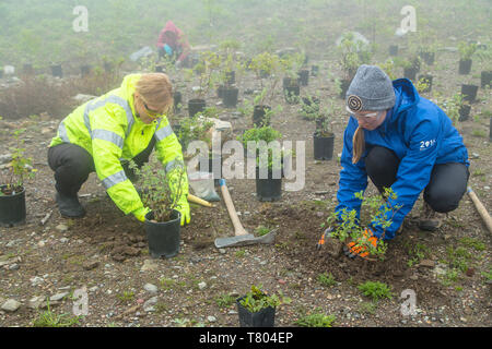 Volunteers at Glacier NP Stock Photo