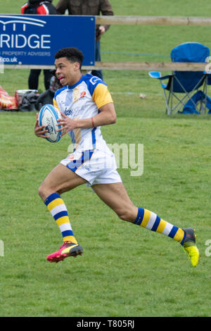 Bury St Edmunds Rugby Club 7s 2019 - Leicester Tigers vs Apache Stock Photo