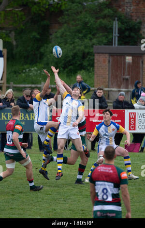 Bury St Edmunds Rugby Club 7s 2019 - Leicester Tigers vs Apache Stock Photo