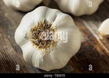 Raw Organic Garlic Bulbs Ready to Cook With Stock Photo