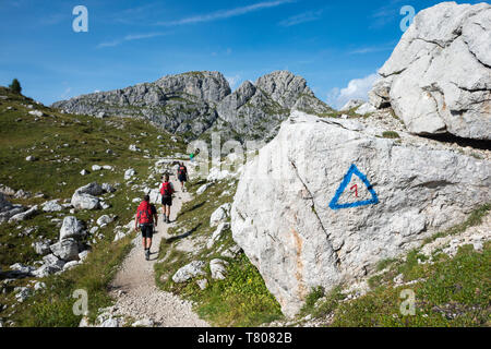 Walkers hiking through the Dolomites range of the Alps along the Alta Via 1 trekking route, Belluno, Veneto, Italy, Europe Stock Photo
