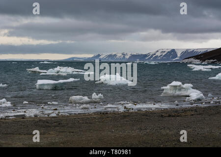 Edgeoya island, Svalbard islands, Arctic, Norway, Europe Stock Photo