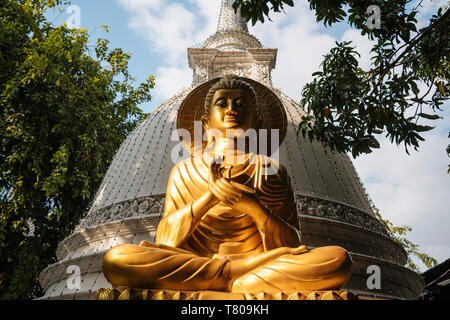 Buddha statue, Gangaramaya Temple, Colombo, Western Province, Sri Lanka, Asia Stock Photo