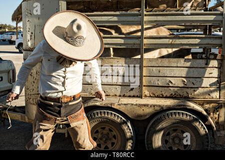 Juan Franco, Sr., dresses in the traditional Charro costume as he readies for a family practice session in the Jalisco Highlands town of Capilla de Guadalupe, Mexico. The Franco family has dominated Mexican rodeo for 40-years and has won three national championships, five second places and five third places. Stock Photo