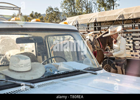 Juan Franco dresses in the traditional Charro costume as he readies for a family practice session in the Jalisco Highlands town of Capilla de Guadalupe, Mexico. The Franco family has dominated Mexican rodeo for 40-years and has won three national championships, five second places and five third places. Stock Photo