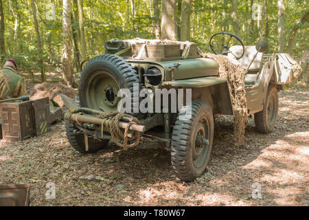 Woodhall Spa 1940s world war two festival re-enactment weekend, Willys jeep in woodland clearing, with US marking Stock Photo