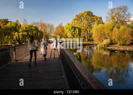 Autumn in Regents Park, one of the Royal Parks of London, England, United Kingdom, Europe Stock Photo