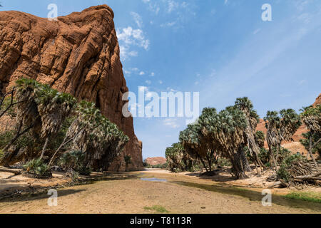 Waterhole, Ennedi Plateau, UNESCO World Heritage Site, Ennedi region, Chad, Africa Stock Photo