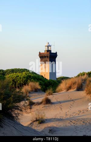 France, Gard, Le Grau du Roi, protected natural site of Espiguette, beach and lighthouse of Espiguette Stock Photo