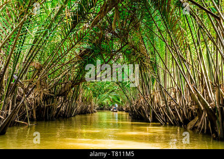 Sailing through the tributaries of the Mekong River, Vietnam, Indochina, Southeast Asia, Asia Stock Photo