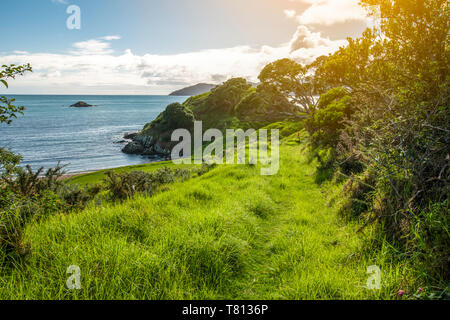 Hiking on the beautiful coast of Doubtless Bay in Northland, New Zealand Stock Photo